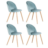 Chaises Vert Sauge