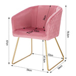 Fauteuil Velours Rose